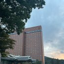 메이저호텔 | [서울] 신라호텔 더 파크뷰 디너 (전메뉴 후기 有)