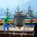 해조수산 이미지