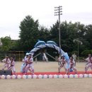 대하체육관 이미지