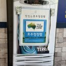 홍화 양고기