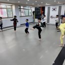 용인대 라이온즈 태권도장 이미지