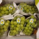 선진커머스 이미지