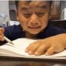 화훼장식기능사 이미지