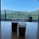 로카와 델피노1 이미지