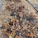 기운농장 이미지