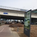 하천(대전천1) 이미지