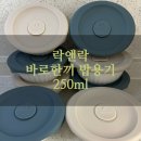 락앤락 바로한끼 밥용기 도자기 250ml 내돈내산후기