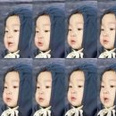 깜찍이네 이미지