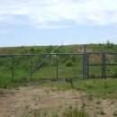 이강민 카카오 검색결과