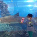 더썸플러스수산2 이미지