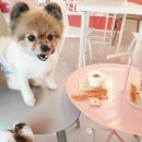 아토,사랑스러워 이미지