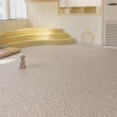 베베꽁 유치원호텔 이미지