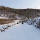 야생초마을아미골 이미지