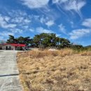 쉴곳 | <정동진펜션> 편하게 쉴 수 있는 곳! 마망펜션 방문후기!