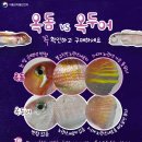 사촌들