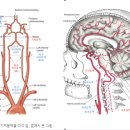 서진영신경과의원 이미지
