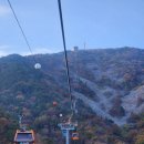 1002카랜드 | 경남 하동 케이블카 크리스탈캐빈 후기