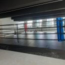 파이널복싱짐 이미지