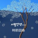 좋은씨앗 Daum카페