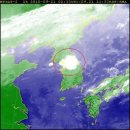 일점사 Daum카페