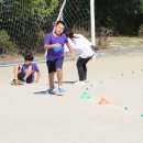 신지초등학교 이미지
