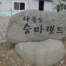 나불도 승마랜드 이미지