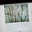 그리니다