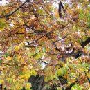 도이2리 마을회관 이미지