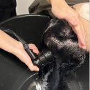 ID.16219 발산역2번출구 | 마곡탈모 관리 전문적으로 받은 후기