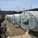 군남농장 이미지