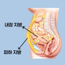 15 | 복부지흡후기 15주차 사진多 / 송도지방흡입 추천 (붓기, 가격)
