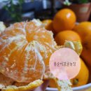 홍순농장 이미지