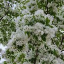 둔산중로-32 이미지