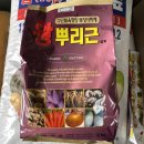 경안종묘농약사 이미지