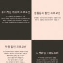 Wedding 04. 본식 스냅 계약하기 (+ 짝꿍구해요 ^^)