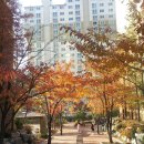 풍동초등학교 이미지