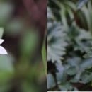 백두그린 이미지