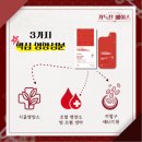 찬플러스 네이버블로그