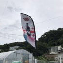 용인 와인 창고형 할인매장: 러스코 세일즈 와인 겟겟 후기