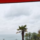 여울애견 이미지