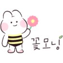 행운꽃플라워 이미지