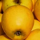 흑석 농장 | 흑석역 맛집 족발, 고기, 한정식 추천