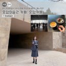 호암프린팅 | 용인 호암미술관 가면 꼭 들를 호암카페 웨이팅, 메뉴 추천!