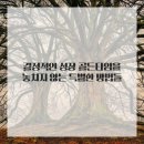 열쇠한의원 이미지