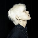 제16회 부산국제매직페스티벌 마술 대회 이미지