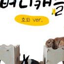버니키스(Bunny Kiss) 이미지