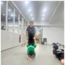 팀태권도장 | 운동할 맛 제대로 나는 청천동 태권도, 합성태권도장 / 팀레드폭스 주짓수&amp;MMA