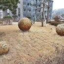스위트단지내공인중개사사무소 이미지