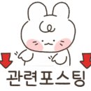 배떡조례 이미지