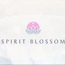 BLOSSOM 20 이미지